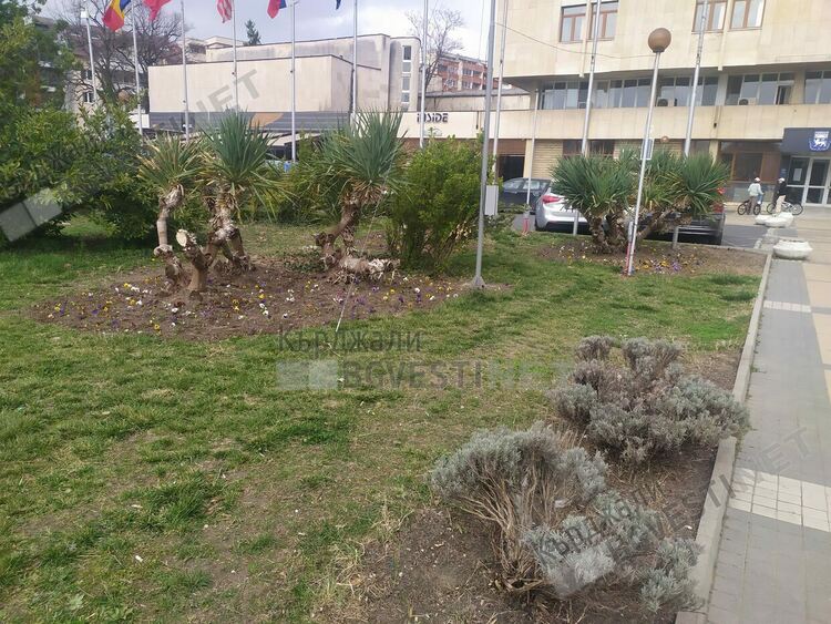 Бурен дебат за пролетната цветна украса на Кърджали в социалните мрежи,ОБЧ отчита успешна кампания