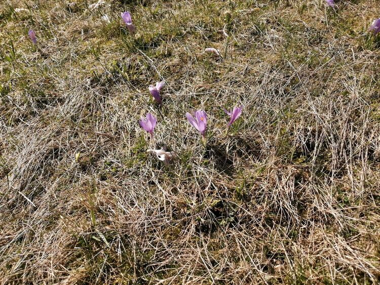 Днес ще е предимно слънчево, температурите се повишават