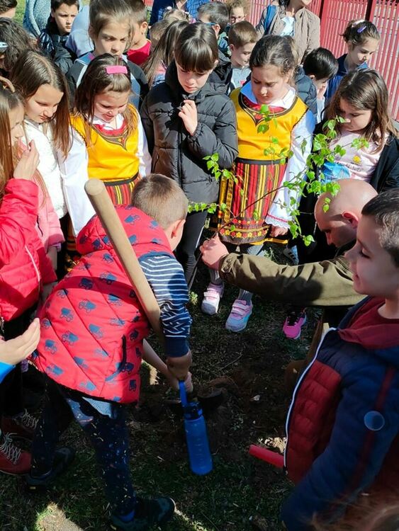 Ученици от "Златаров" заедно с лесовъди засадиха дръвчета през Седмицата на гората
