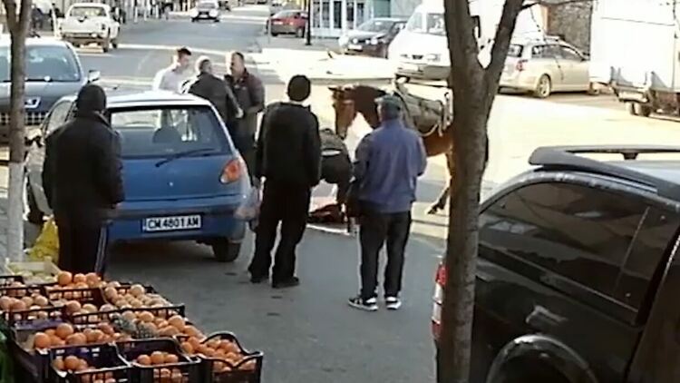 Брутално! Неделинец свали със сила и юмруци свой съгражданин от коня посред бял ден