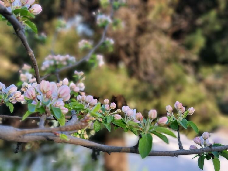 Слънчево и топло във вторник