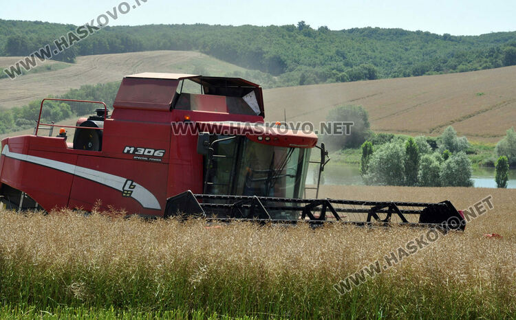 Областната земеделска служба: има зърно, няма проблеми