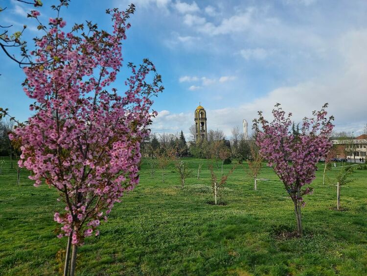 Снимка: Кремена Ганчева