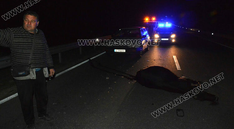 Серия от катастрофи  в безстопанствена крава на влизане в Хасково откъм Кърджали  