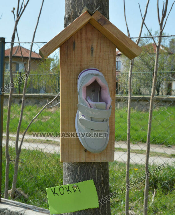 Децата от градината в Стамболийски си засадиха лехи с цветя и билки