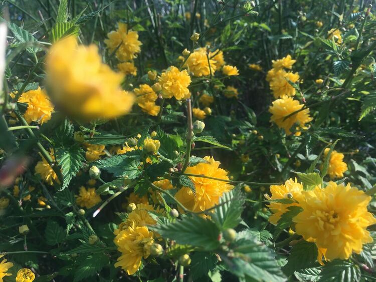 Слънчево и топло в петък