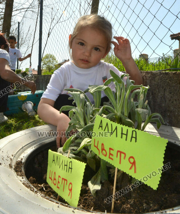 Децата от градината в Стамболийски си засадиха лехи с цветя и билки