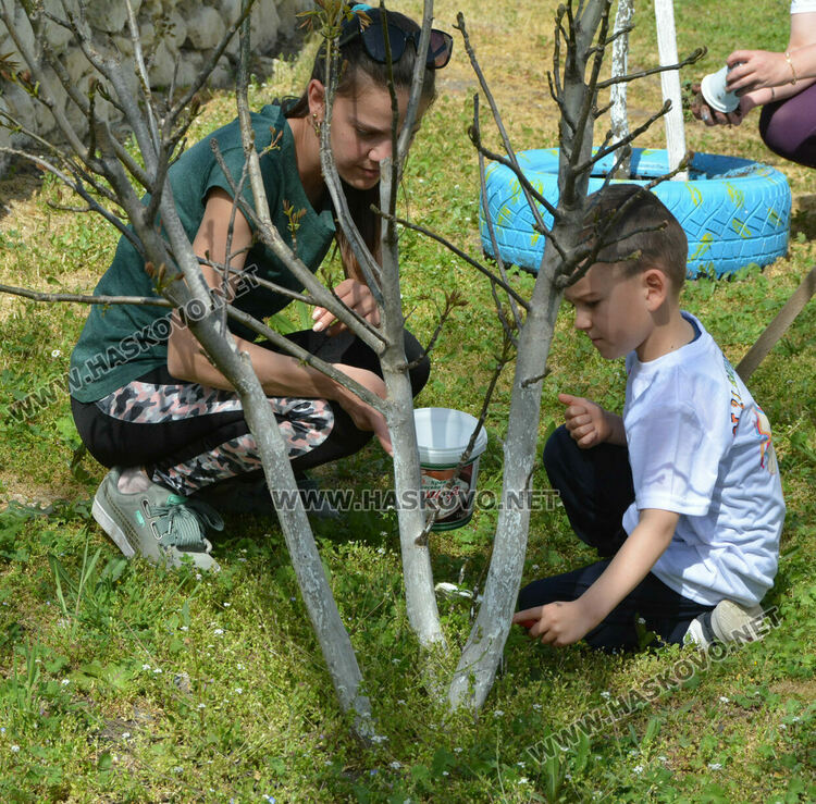 Децата от градината в Стамболийски си засадиха лехи с цветя и билки