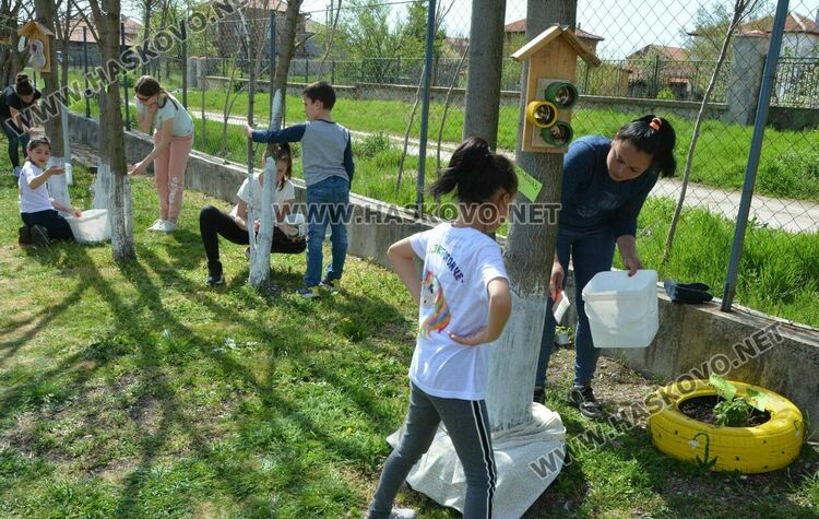 Децата от градината в Стамболийски си засадиха лехи с цветя и билки