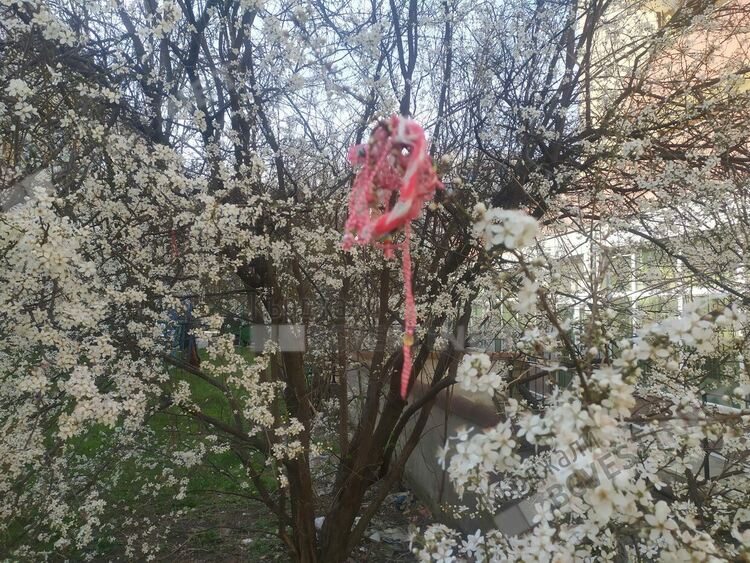 Слънчево днес в Кърджали, температурите се покачват