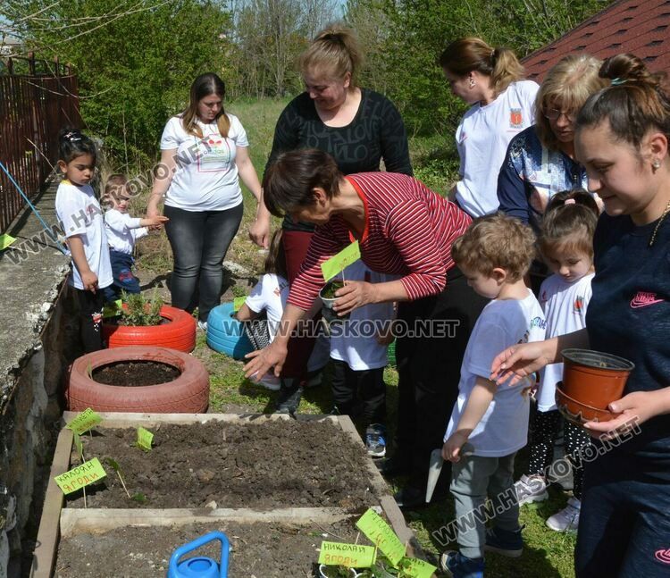 Децата от градината в Стамболийски си засадиха лехи с цветя и билки