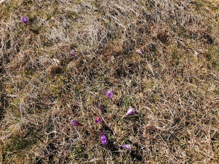 Последен слънчев ден преди голямото захлаждане през уикенда