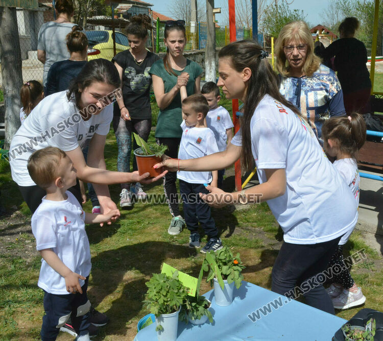 Децата от градината в Стамболийски си засадиха лехи с цветя и билки