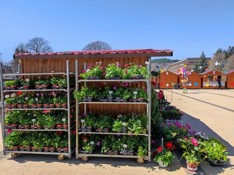 Петъчната вечер в Перник ще бъде изпълнена с интересни събития