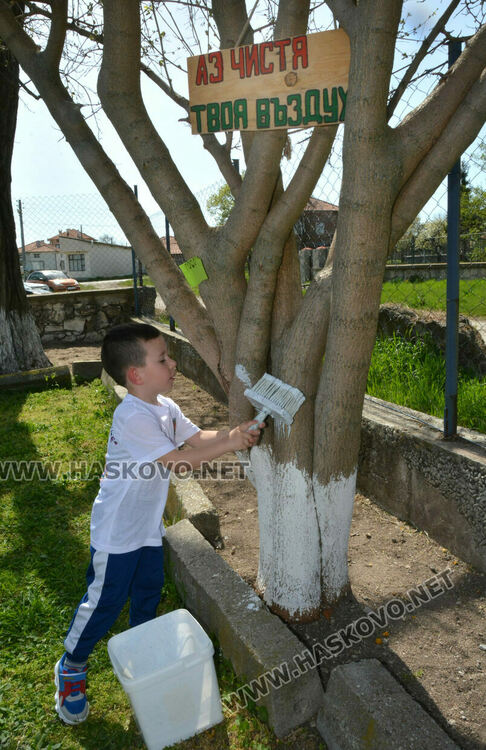 Децата от градината в Стамболийски си засадиха лехи с цветя и билки