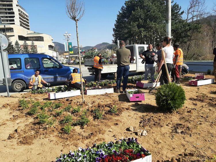 Служители на общинската администрация в Смолян почистваха и засаждаха цветя