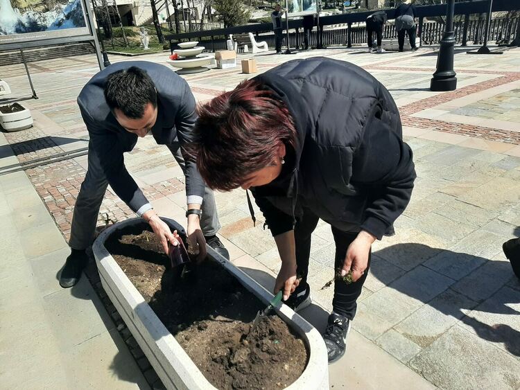 Служители на общинската администрация в Смолян почистваха и засаждаха цветя