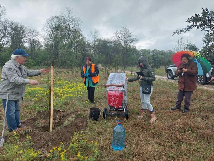 Родители засадиха дръвчета днес в Алеята на новия живот