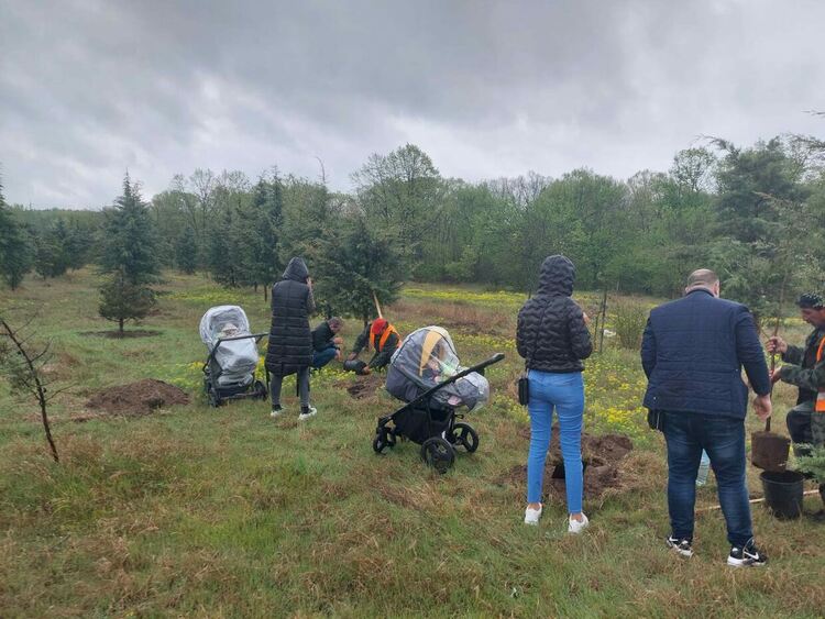 Родители засадиха дръвчета днес в Алеята на новия живот