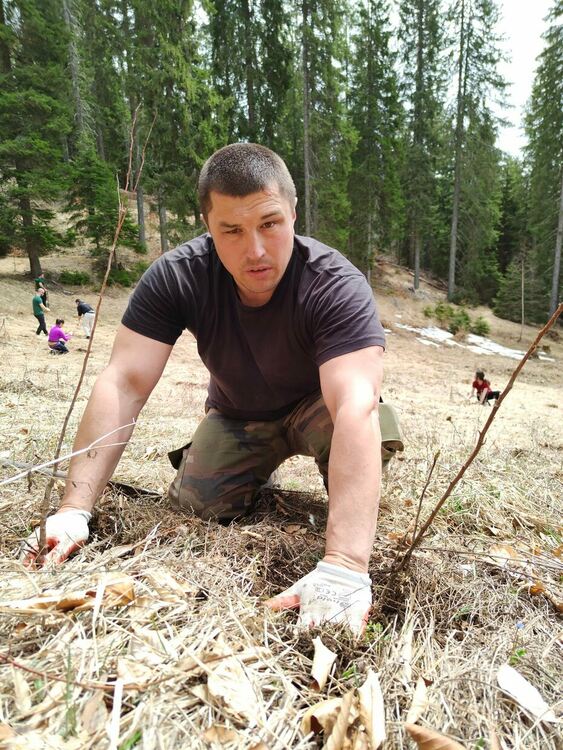 Засадиха горско-плодни дръвчета край Триград, за да се пазят от мечките