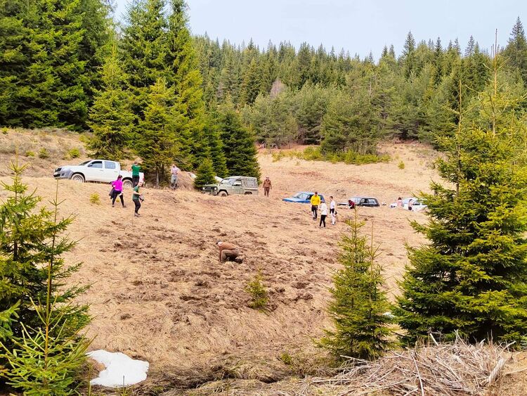 Засадиха горско-плодни дръвчета край Триград, за да се пазят от мечките