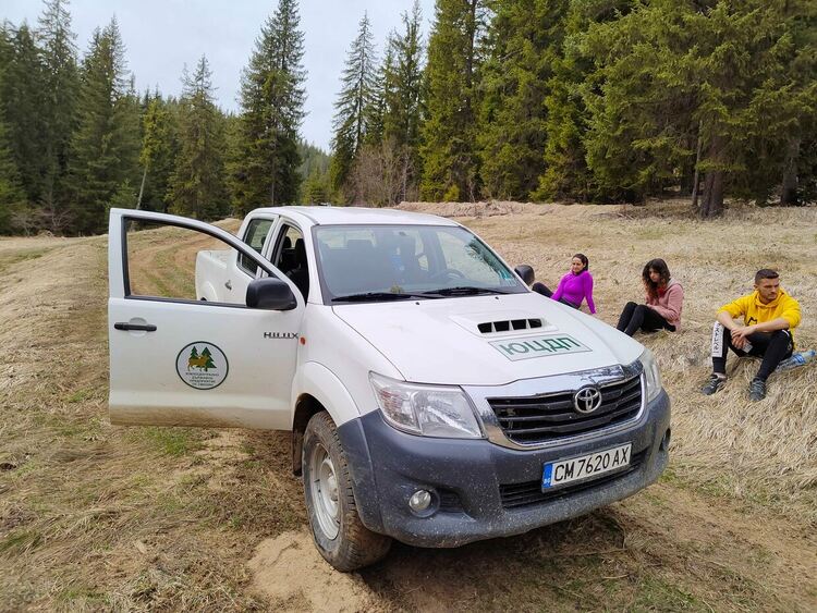 Засадиха горско-плодни дръвчета край Триград, за да се пазят от мечките