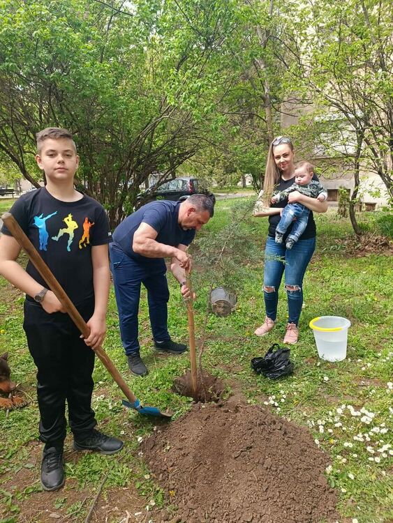 Родители засадиха дръвчета днес в Алеята на новия живот