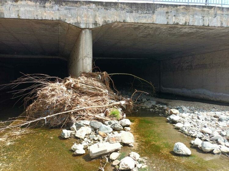 Речните корита в региона са затлачени от наноси и боклуци