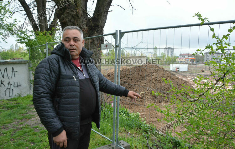 Хасковлии пазят дървета от отсичане, жалват се от подкопаване на гаражи