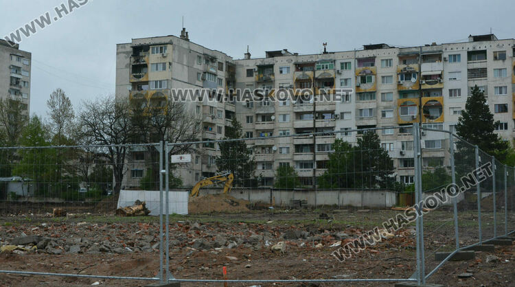 Хасковлии пазят дървета от отсичане, жалват се от подкопаване на гаражи