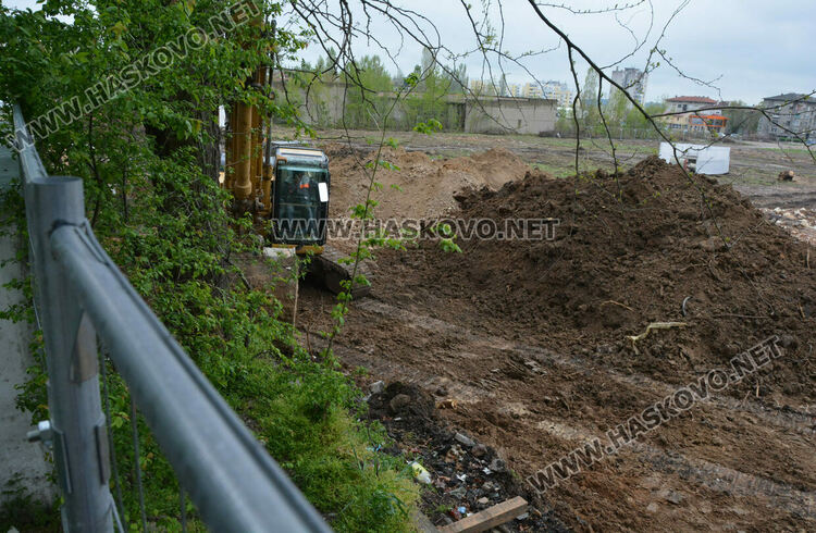 Хасковлии пазят дървета от отсичане, жалват се от подкопаване на гаражи