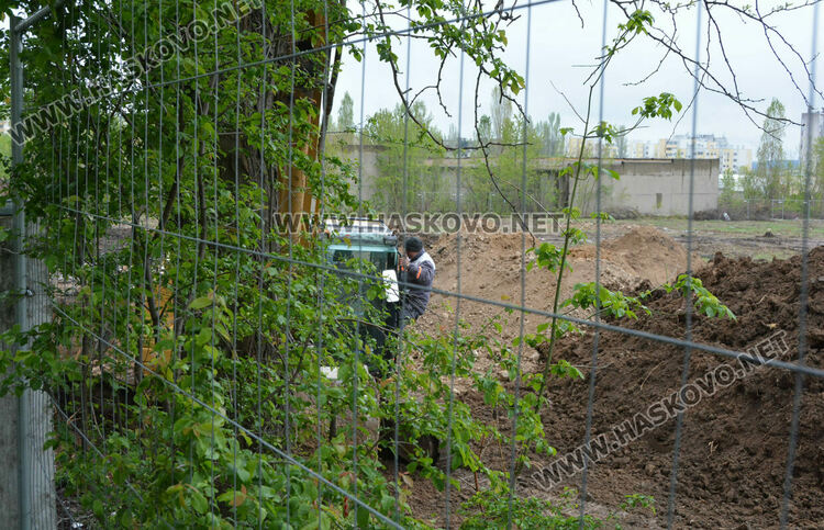 Хасковлии пазят дървета от отсичане, жалват се от подкопаване на гаражи