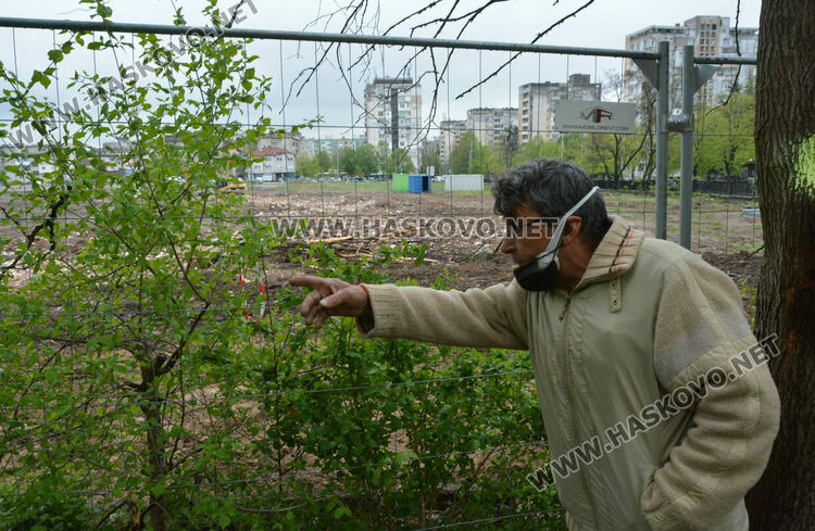 Хасковлии пазят дървета от отсичане, жалват се от подкопаване на гаражи