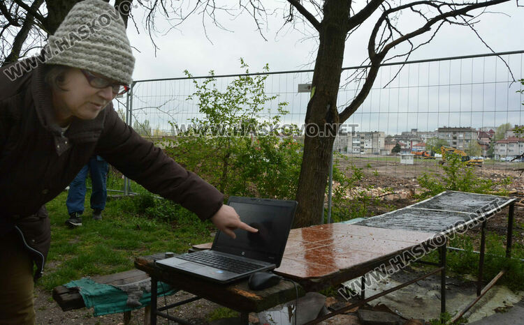 Хасковлии пазят дървета от отсичане, жалват се от подкопаване на гаражи