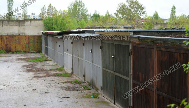 Хасковлии пазят дървета от отсичане, жалват се от подкопаване на гаражи