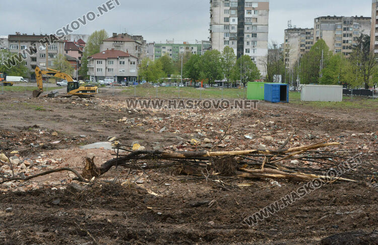 Хасковлии пазят дървета от отсичане, жалват се от подкопаване на гаражи