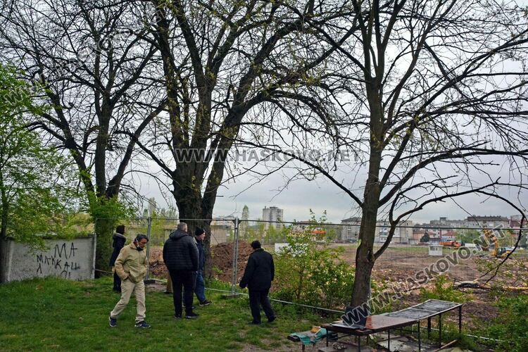 Хасковлии пазят дървета от отсичане, жалват се от подкопаване на гаражи