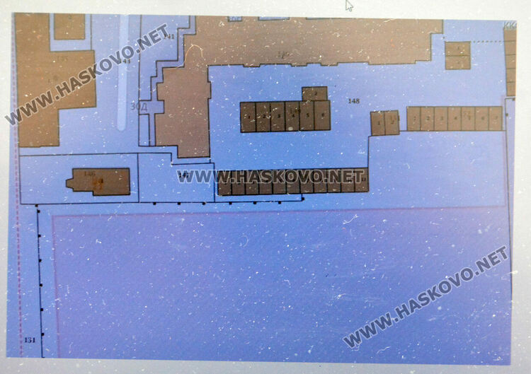 Хасковлии пазят дървета от отсичане, жалват се от подкопаване на гаражи