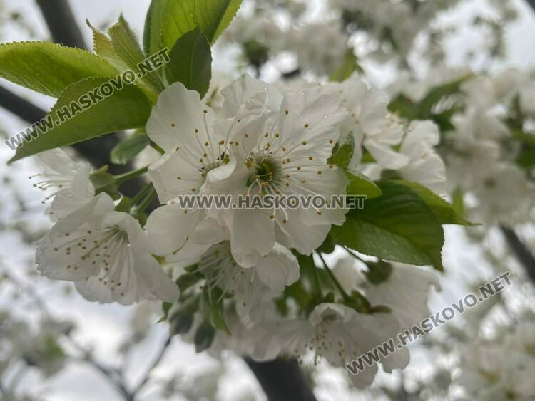 Дъждовно и хладно и днес