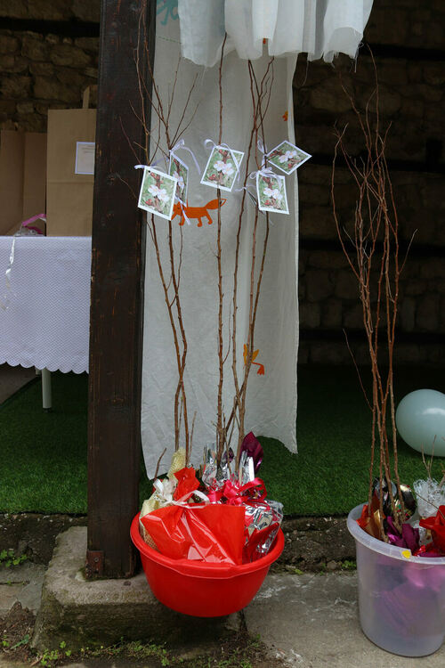 Денят на Земята отбелязаха в Хасково, връчиха и награди за фотография