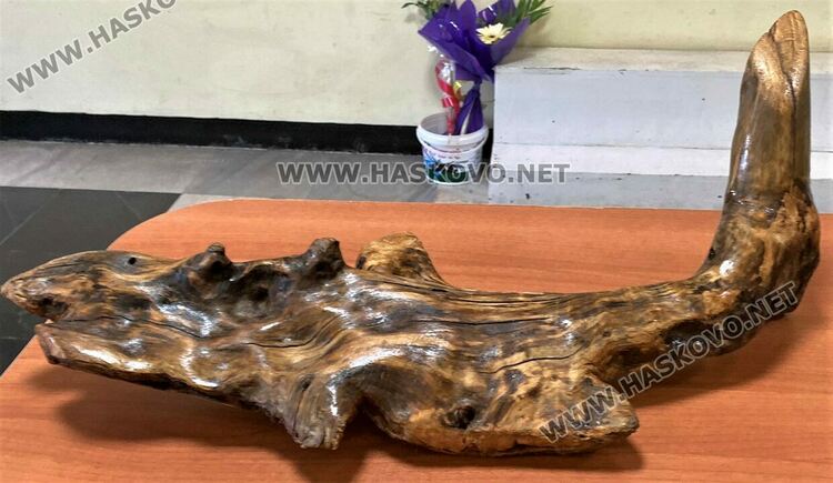  Изложбата „Щастливо лято“  събра средства за ваканцията на децата от Преходното жилище