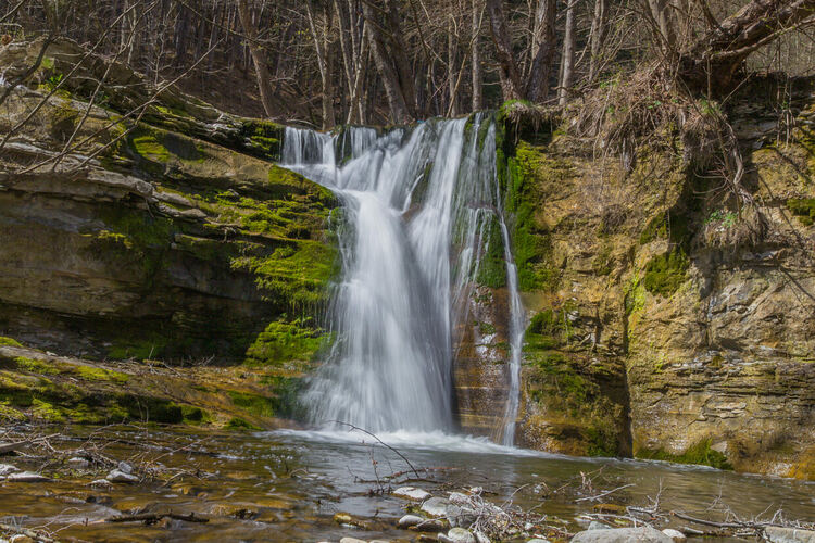 снимка: Нина Серафимова