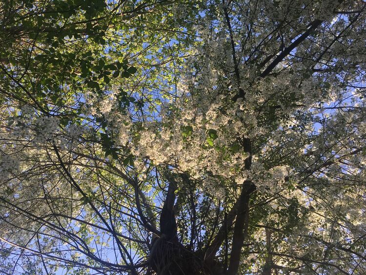 Слънчево на изток, започва затопляне