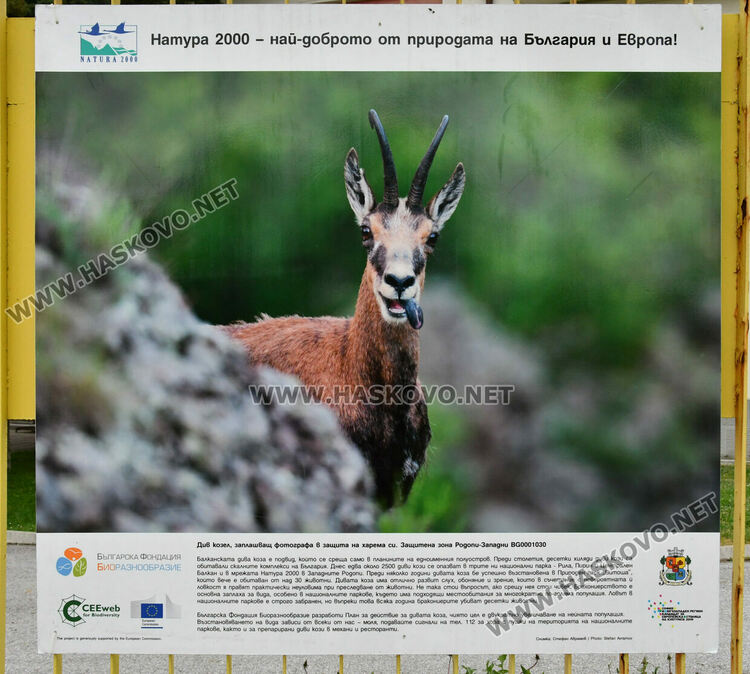 Фото изложба на Ямача показва за красотата на природата в Деня на Земята