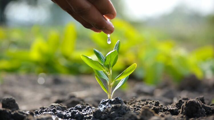 22 април - Денят на Земята