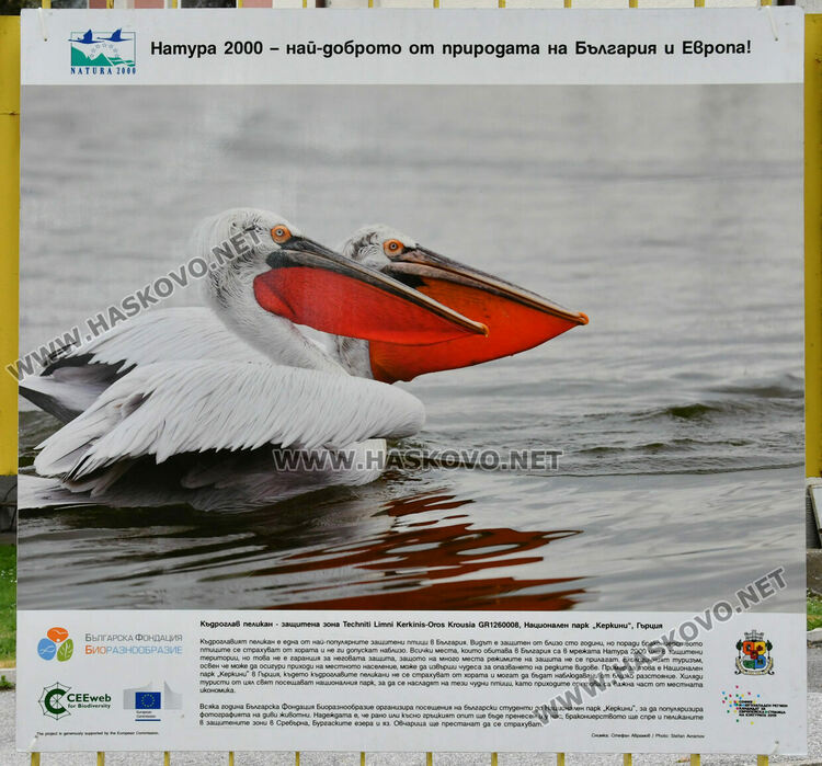 Фото изложба на Ямача показва за красотата на природата в Деня на Земята