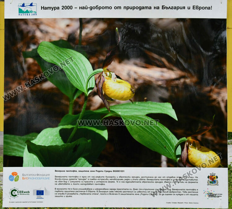 Фото изложба на Ямача показва за красотата на природата в Деня на Земята