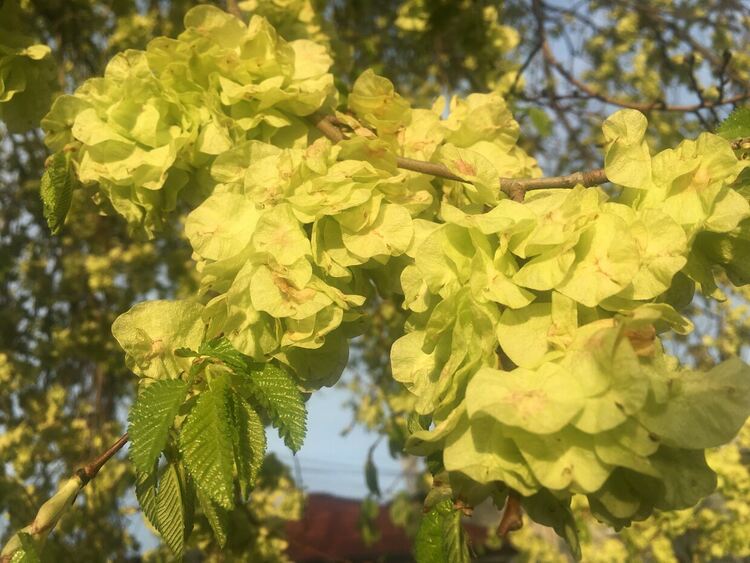 Южен вятър носи затопляне