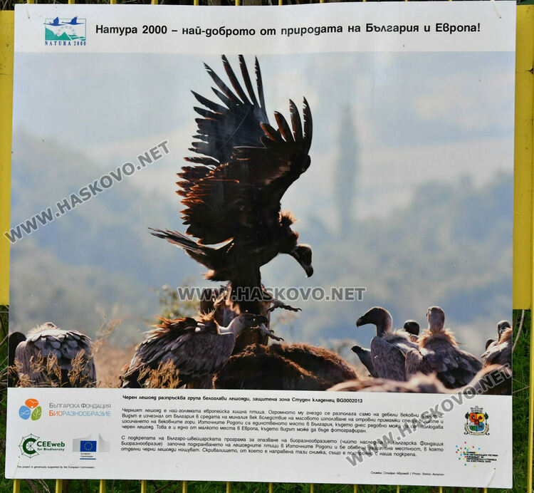 Фото изложба на Ямача показва за красотата на природата в Деня на Земята