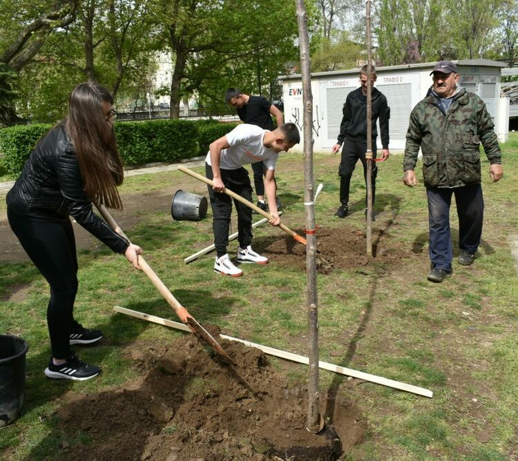 Община и ученици засаждаха дървета в Асеновград 